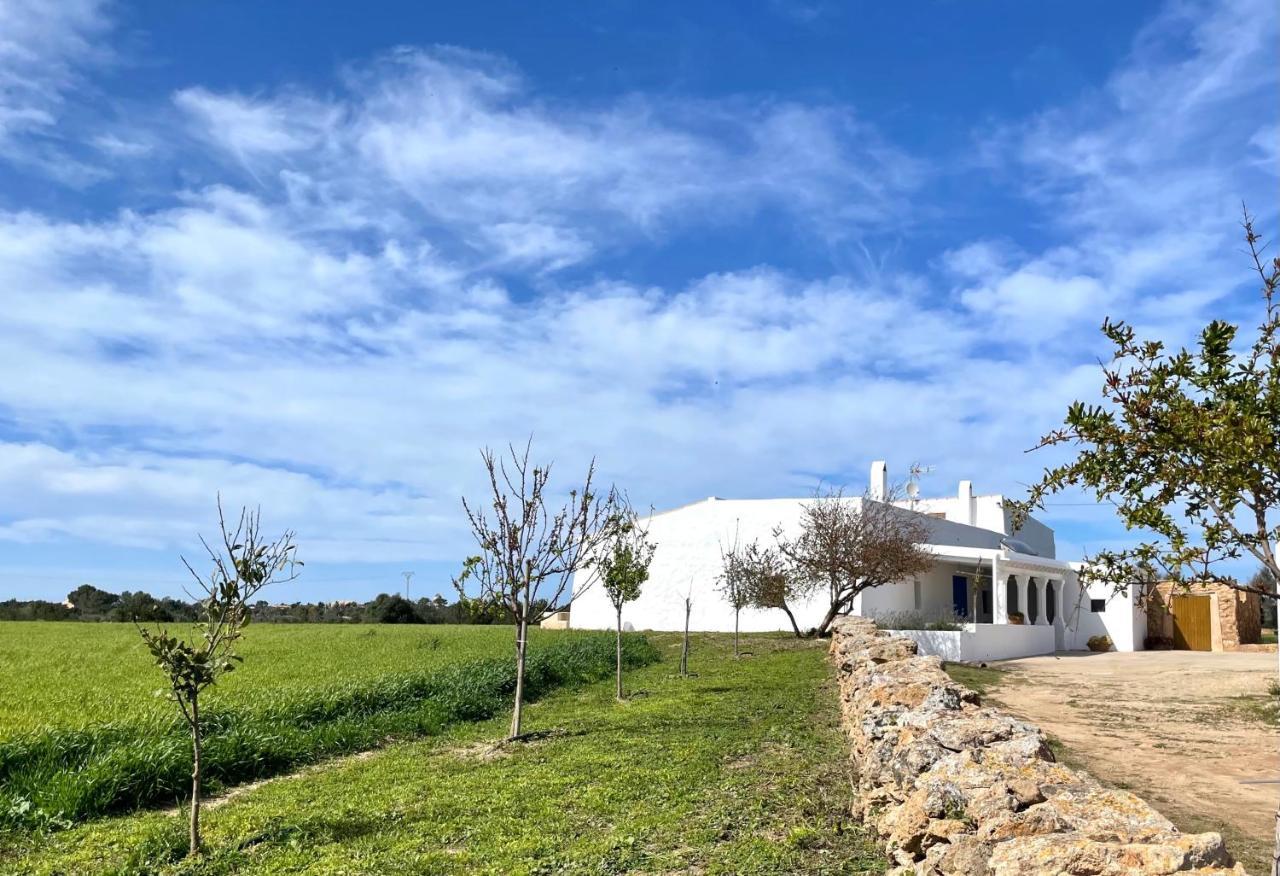 Can Marianet Sant Ferran de Ses Roques Bagian luar foto